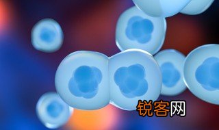 载体和质粒的区别 载体和质粒的不同之处