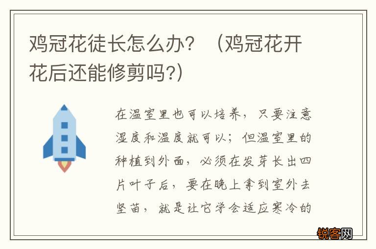 鸡冠花开花后还能修剪吗? 鸡冠花徒长怎么办？
