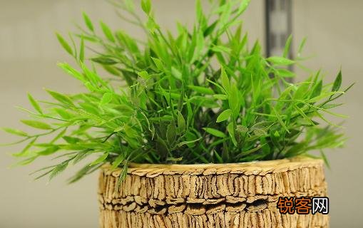 施肥在养花的过程中的必要性是什么 施肥在养花的过程中的必要性