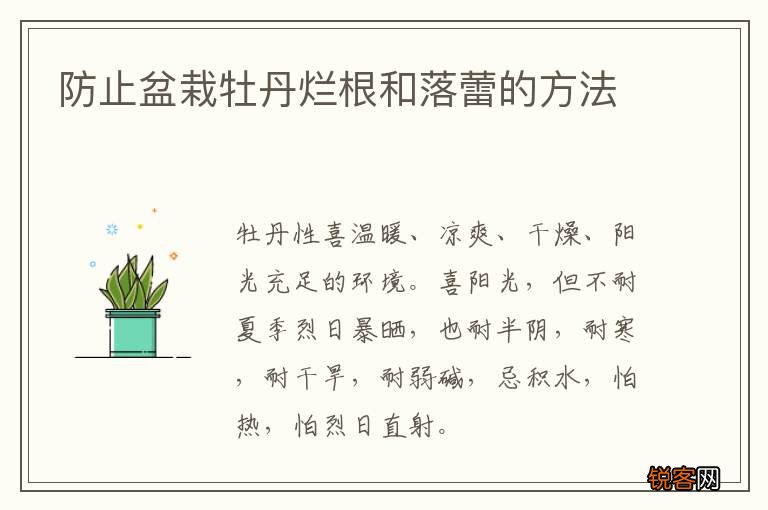 防止盆栽牡丹烂根和落蕾的方法