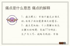痛点是什么意思 痛点的解释
