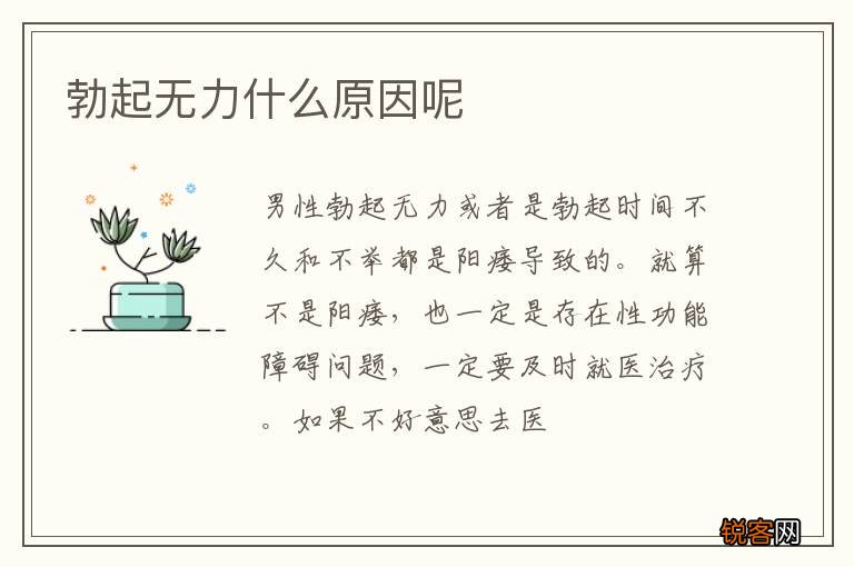 勃起无力什么原因呢