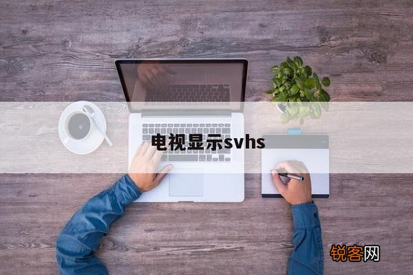 电视显示svhs