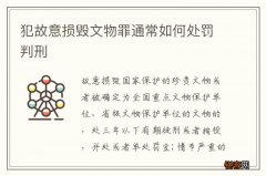 犯故意损毁文物罪通常如何处罚判刑