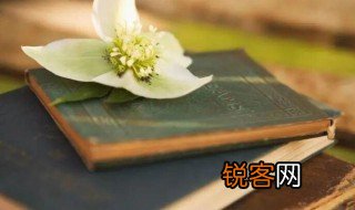 伯牙绝弦谓的意思 伯牙绝弦谓的含义