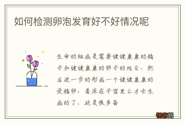 如何检测卵泡发育好不好情况呢