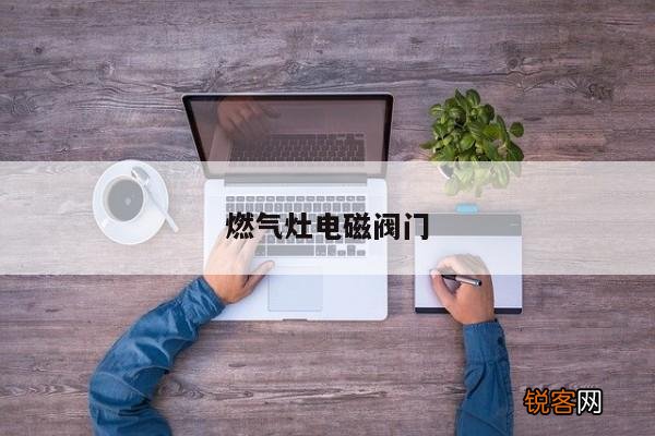 燃气灶电磁阀门