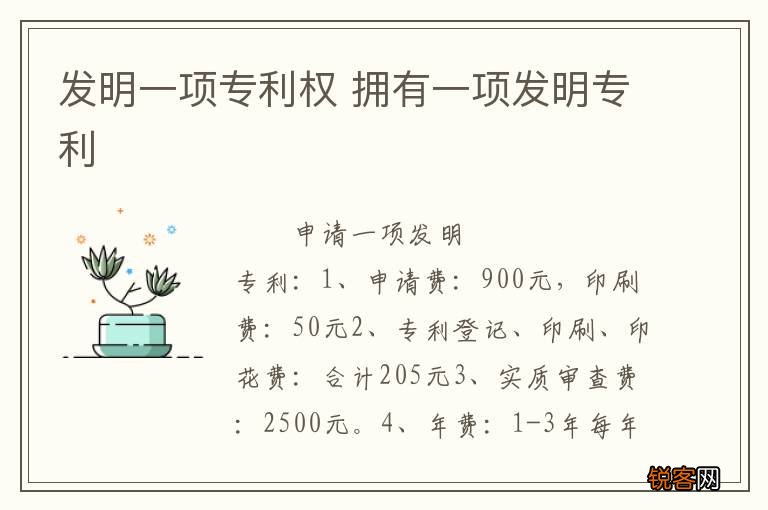 发明一项专利权 拥有一项发明专利