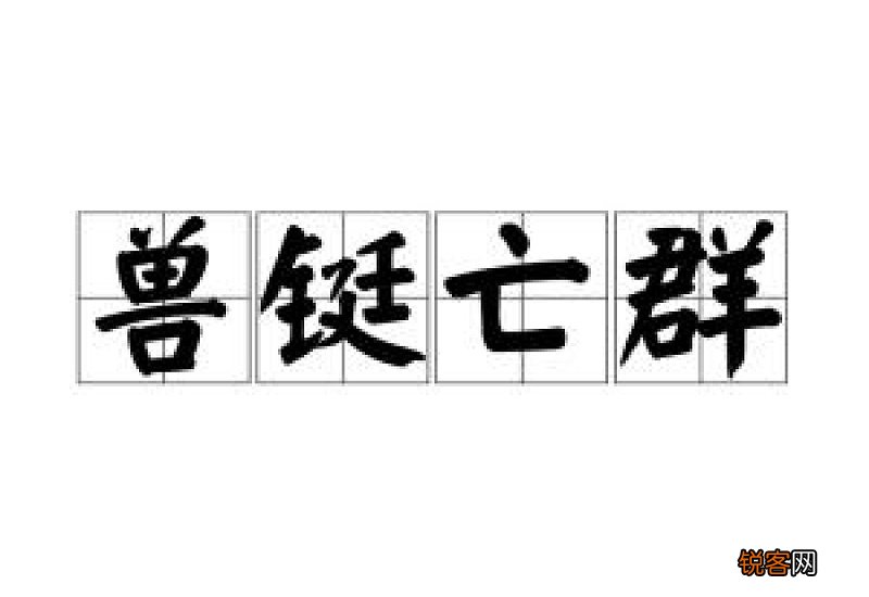 兽铤亡群的铤意思