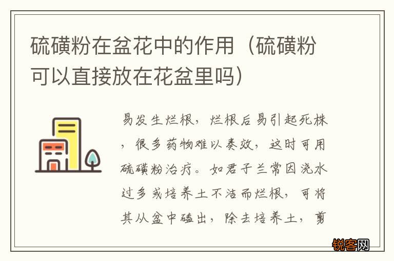 硫磺粉可以直接放在花盆里吗 硫磺粉在盆花中的作用