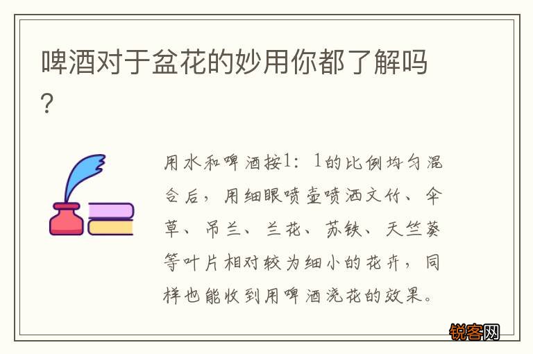 啤酒对于盆花的妙用你都了解吗？