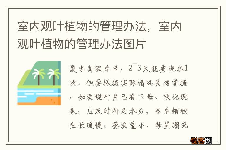 室内观叶植物的管理办法，室内观叶植物的管理办法图片