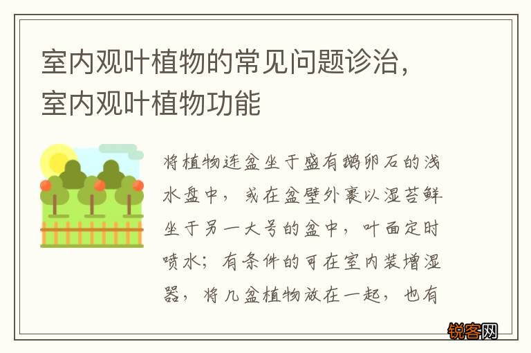 室内观叶植物的常见问题诊治，室内观叶植物功能