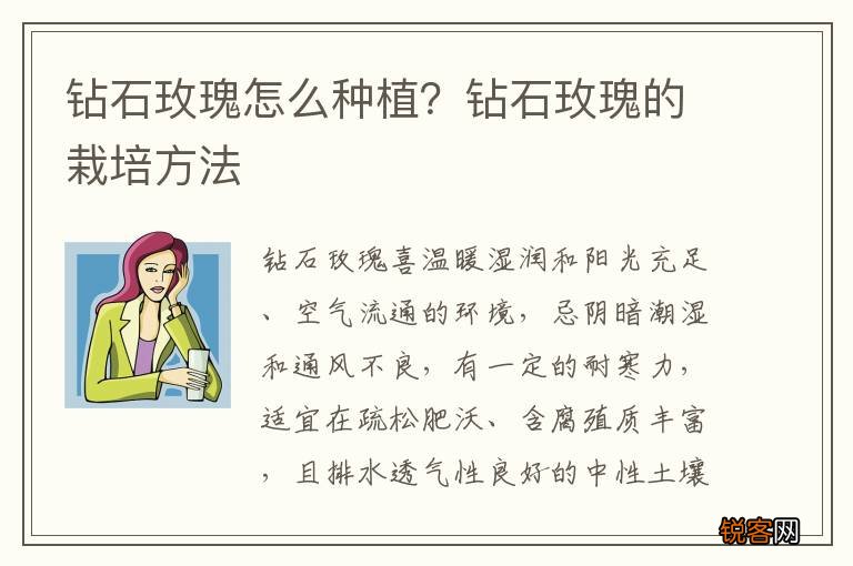 钻石玫瑰怎么种植？钻石玫瑰的栽培方法