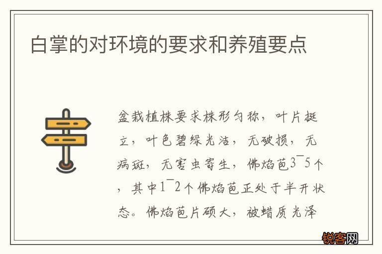 白掌的对环境的要求和养殖要点