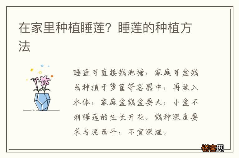 在家里种植睡莲？睡莲的种植方法