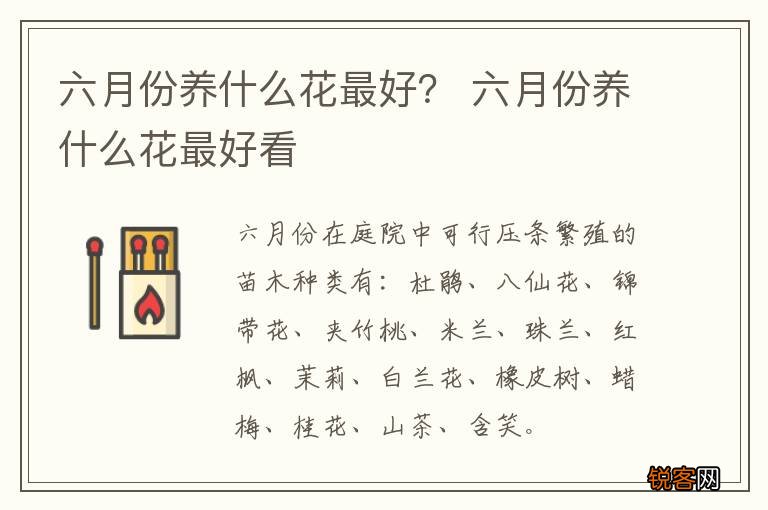 六月份养什么花最好？ 六月份养什么花最好看