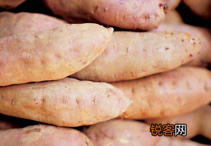 怎么吃红薯要更营养
