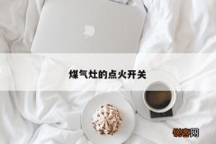 煤气灶的点火开关