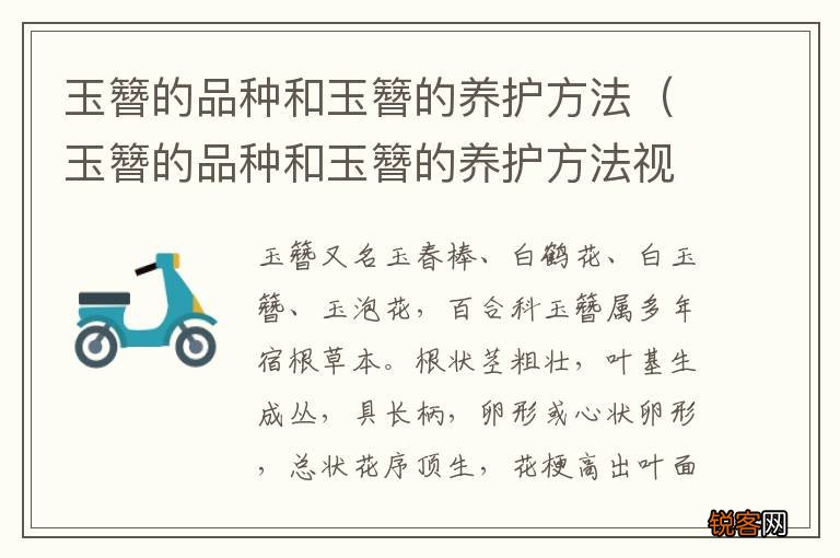 玉簪的品种和玉簪的养护方法视频 玉簪的品种和玉簪的养护方法
