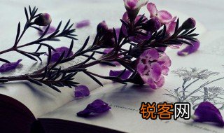 齐聚的意思 齐聚的解释