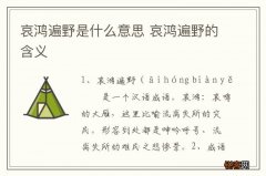 哀鸿遍野是什么意思 哀鸿遍野的含义