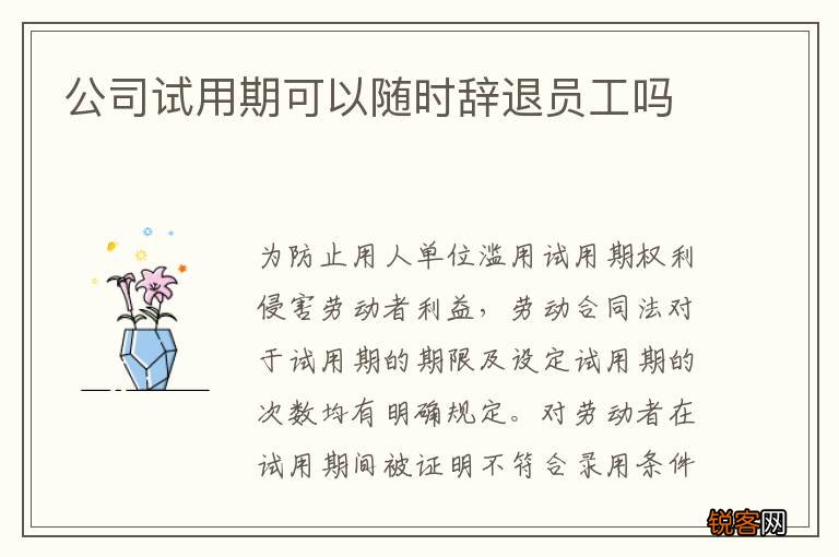 公司试用期可以随时辞退员工吗