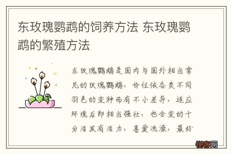 东玫瑰鹦鹉的饲养方法 东玫瑰鹦鹉的繁殖方法