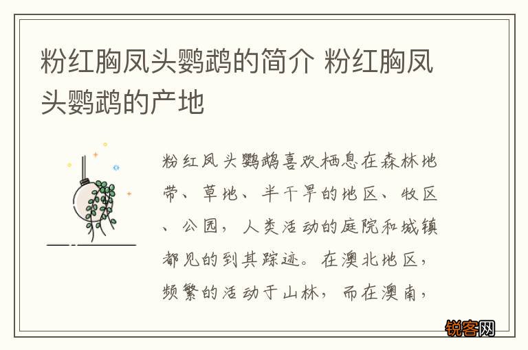 粉红胸凤头鹦鹉的简介 粉红胸凤头鹦鹉的产地