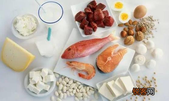 男人肾不好多吃这8种食物 应摄入充足的优质蛋白质