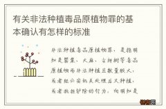 有关非法种植毒品原植物罪的基本确认有怎样的标准