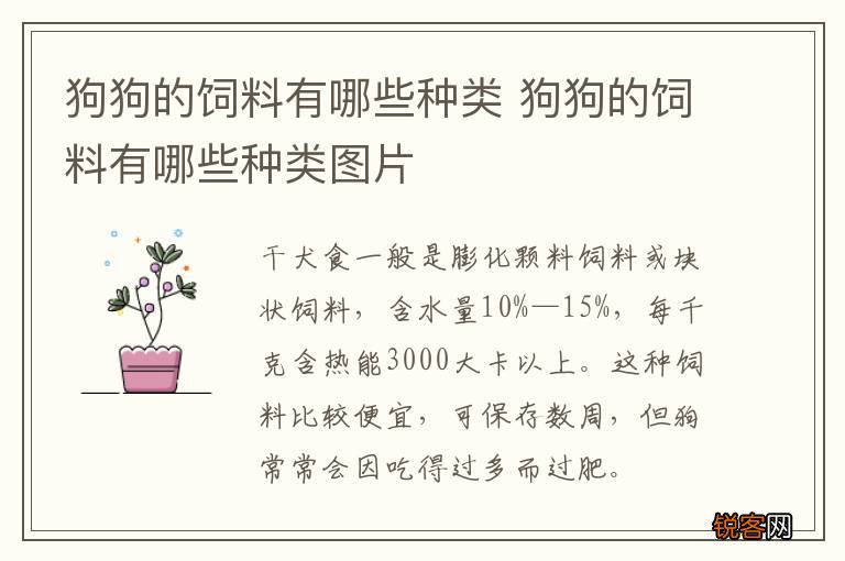 狗狗的饲料有哪些种类 狗狗的饲料有哪些种类图片