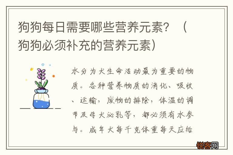狗狗必须补充的营养元素 狗狗每日需要哪些营养元素？