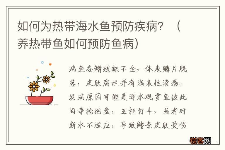 养热带鱼如何预防鱼病 如何为热带海水鱼预防疾病?