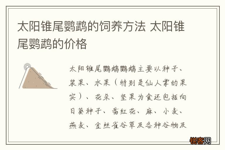 太阳锥尾鹦鹉的饲养方法 太阳锥尾鹦鹉的价格