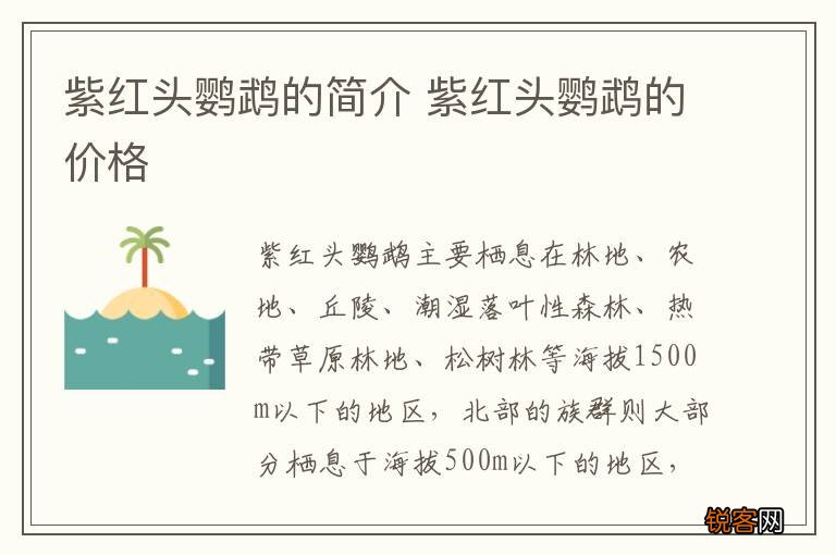 紫红头鹦鹉的简介 紫红头鹦鹉的价格
