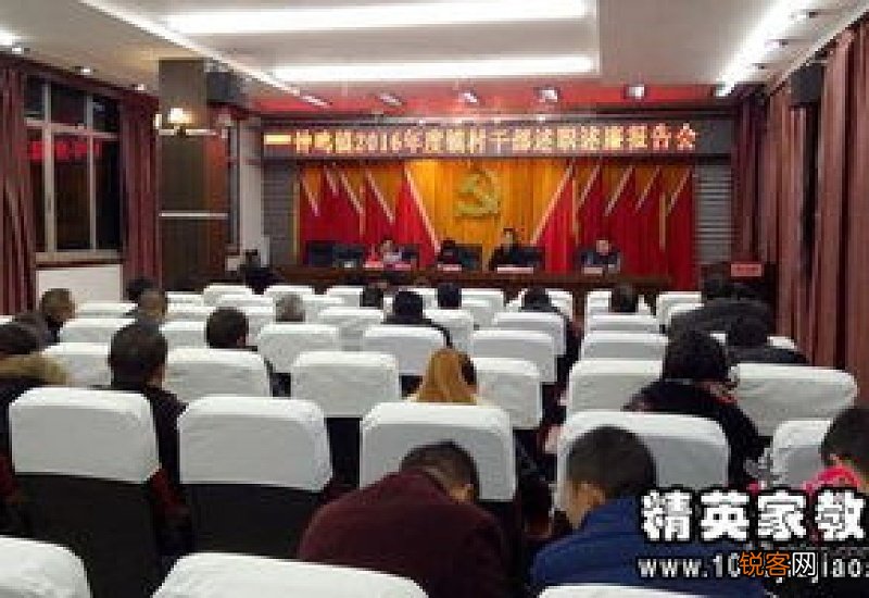 大学生村干部述职报告，大学生村官工作述职