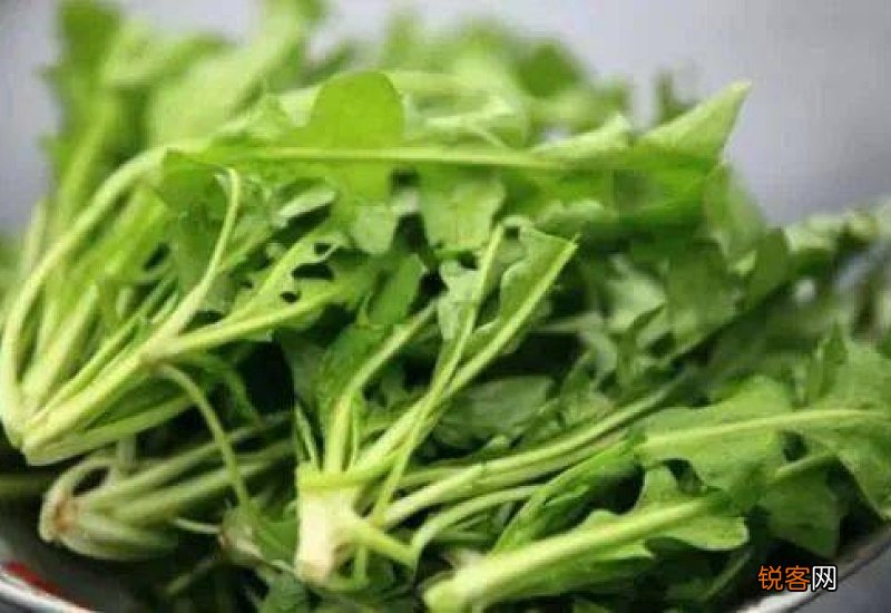 荠菜煮鸡蛋不能和什么一起吃