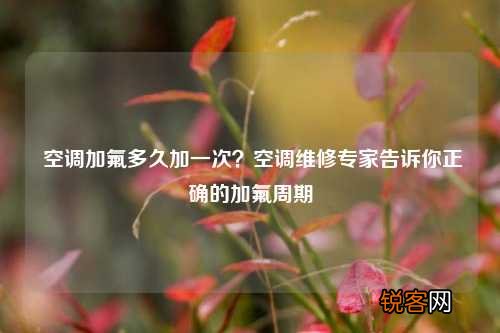 空调加氟多久加一次？空调维修专家告诉你正确的加氟周期