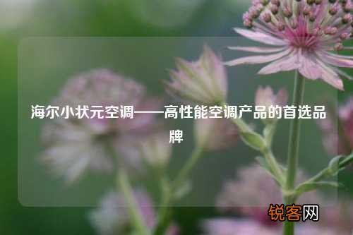 海尔小状元空调——高性能空调产品的首选品牌