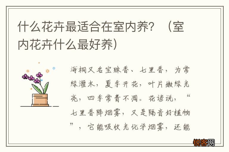 室内花卉什么最好养 什么花卉最适合在室内养？