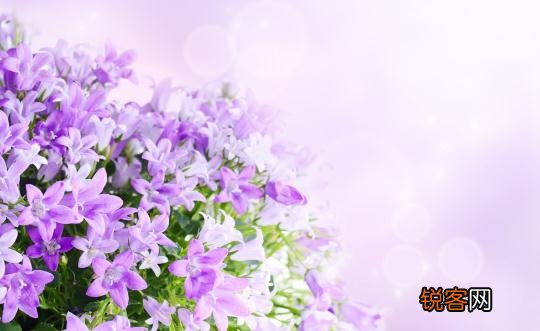 这样让鲜花更加鲜艳哦! 这样让鲜花更加鲜艳哦英语