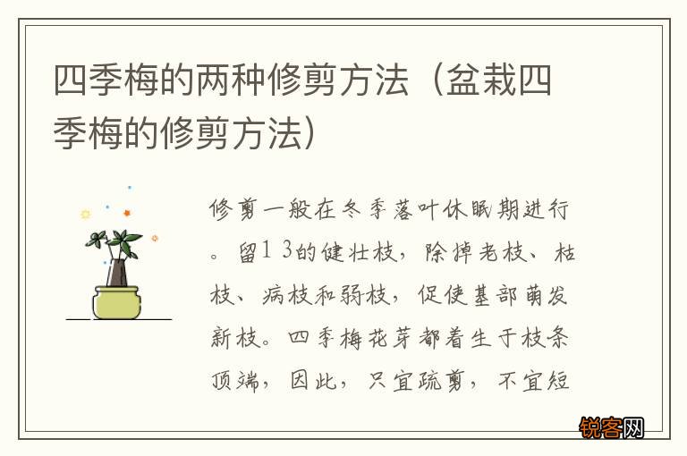 盆栽四季梅的修剪方法 四季梅的两种修剪方法