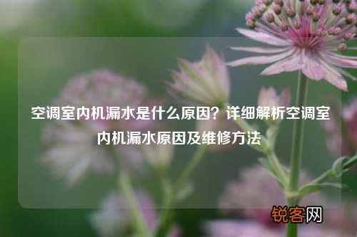空调室内机漏水是什么原因？详细解析空调室内机漏水原因及维修方法