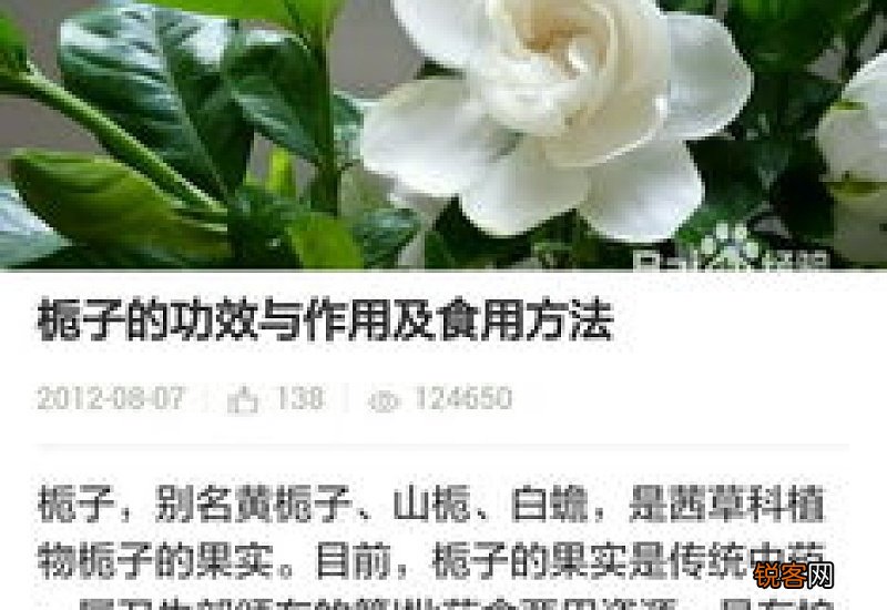 喝栀子水可以减肥吗