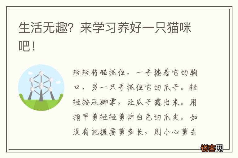 生活无趣？来学习养好一只猫咪吧！