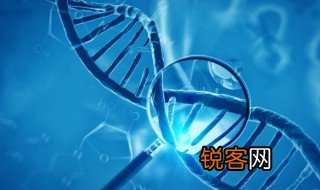 遗传信息与遗传密码有区别 遗传信息与遗传密码区别是什么