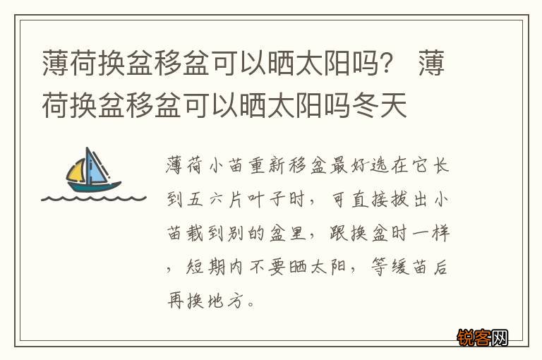 薄荷换盆移盆可以晒太阳吗？ 薄荷换盆移盆可以晒太阳吗冬天