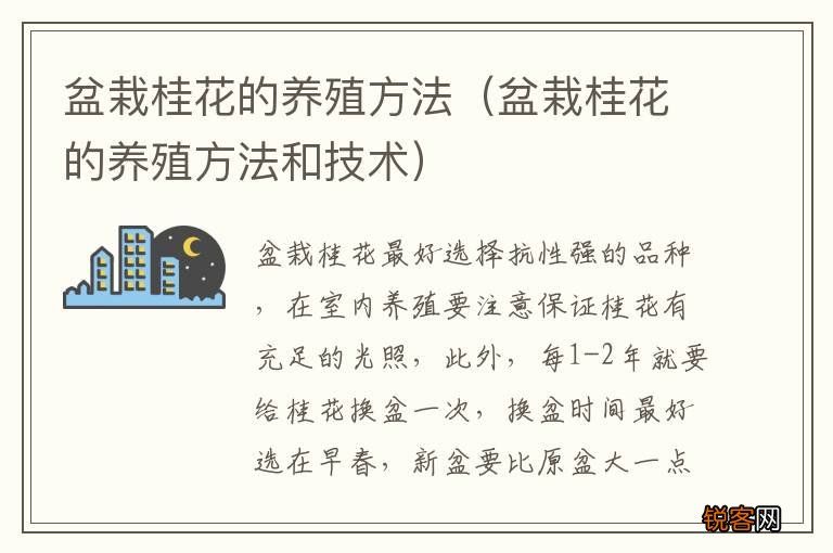 盆栽桂花的养殖方法和技术 盆栽桂花的养殖方法