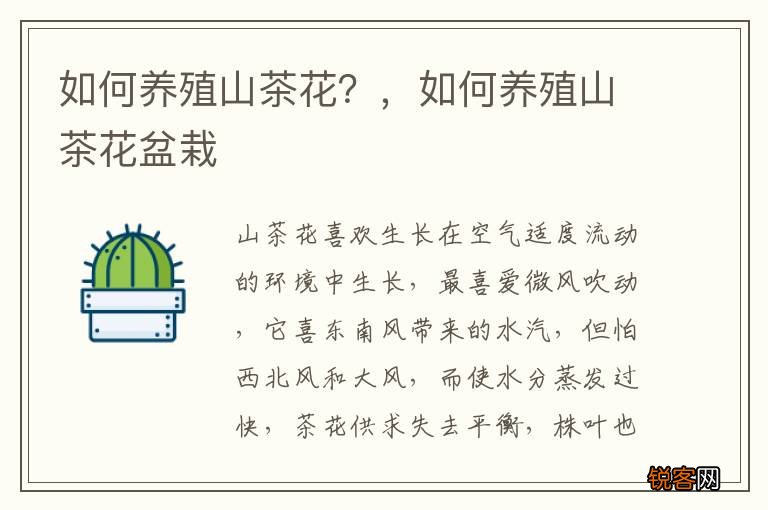 如何养殖山茶花？，如何养殖山茶花盆栽